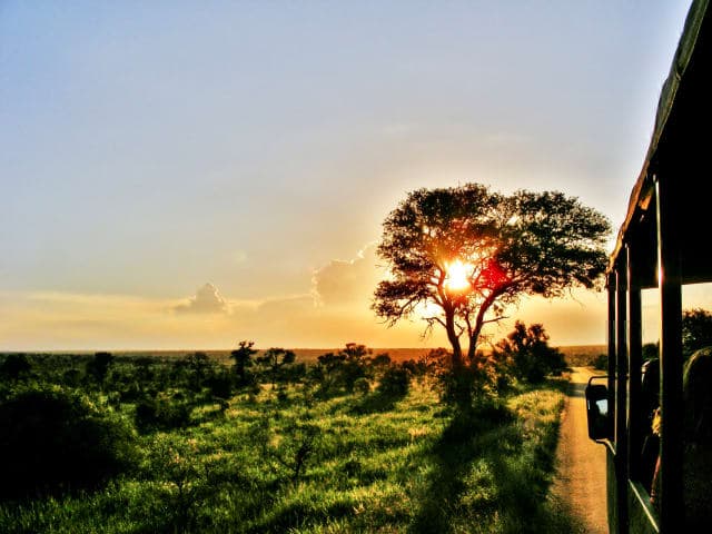 Sunsetsafari met diner in een privé-wildreservaat thumbnail