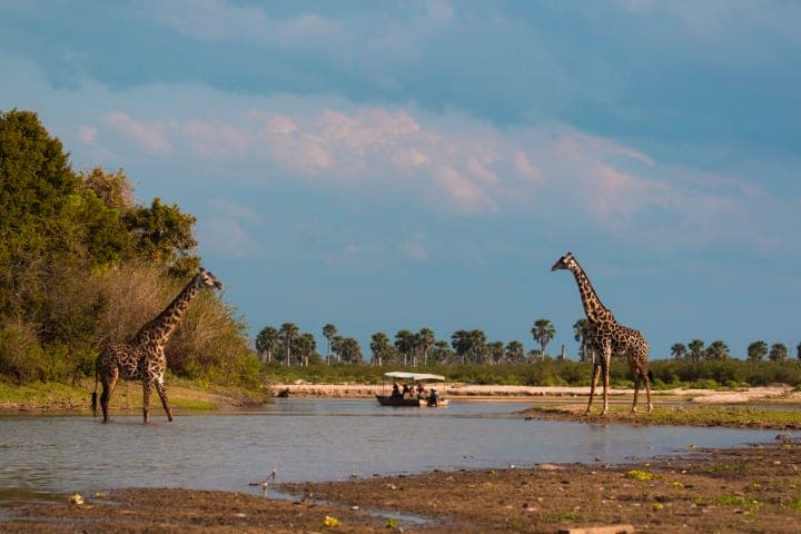 Boottocht op de Rufiji-rivier thumbnail