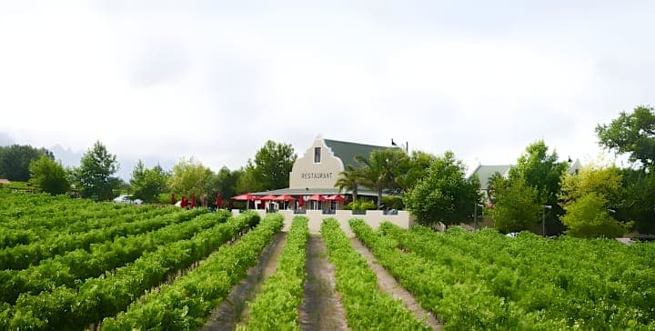 Skilpadvlei Wine Farm thumbnail