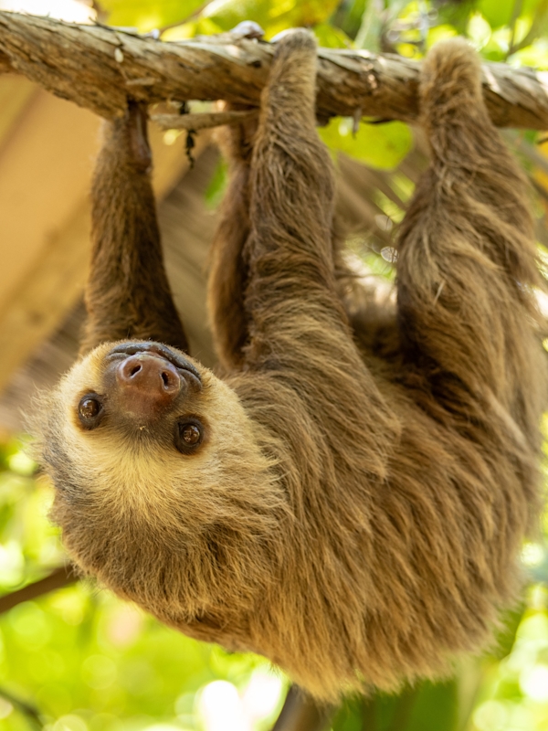 Costa Rica roadtrip