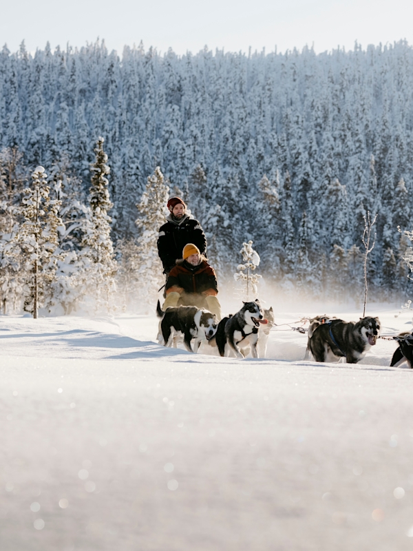 Fins Lapland