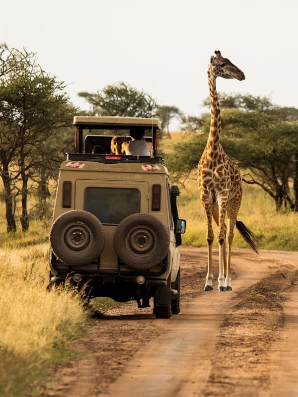 Tansania Bucketlist
