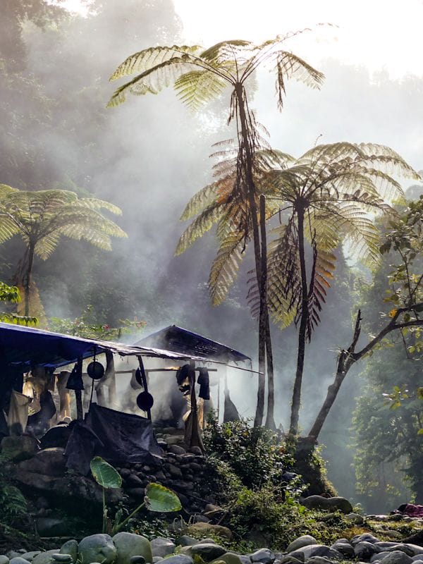 Wild Sumatra