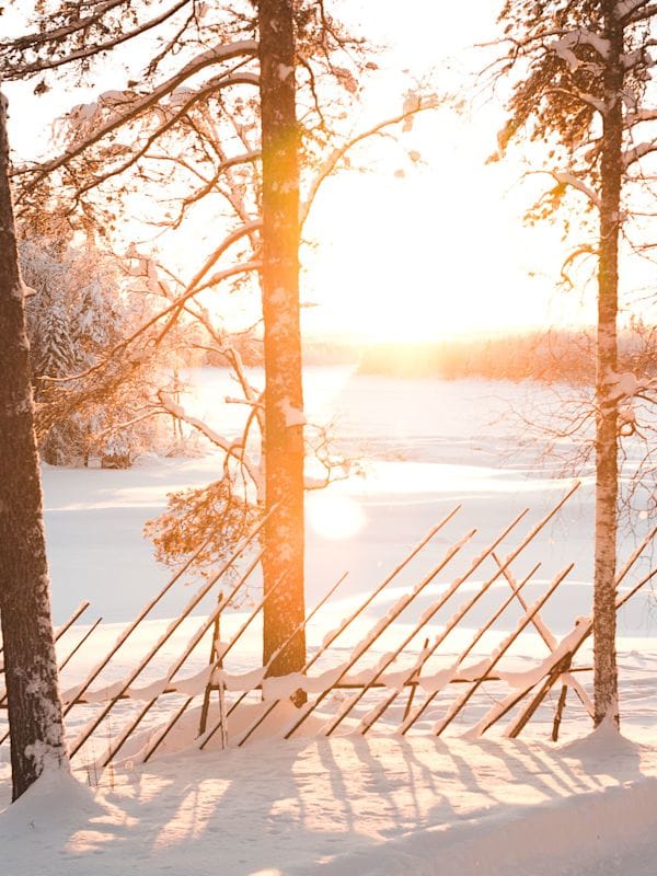 Helsinki & Rovaniemi