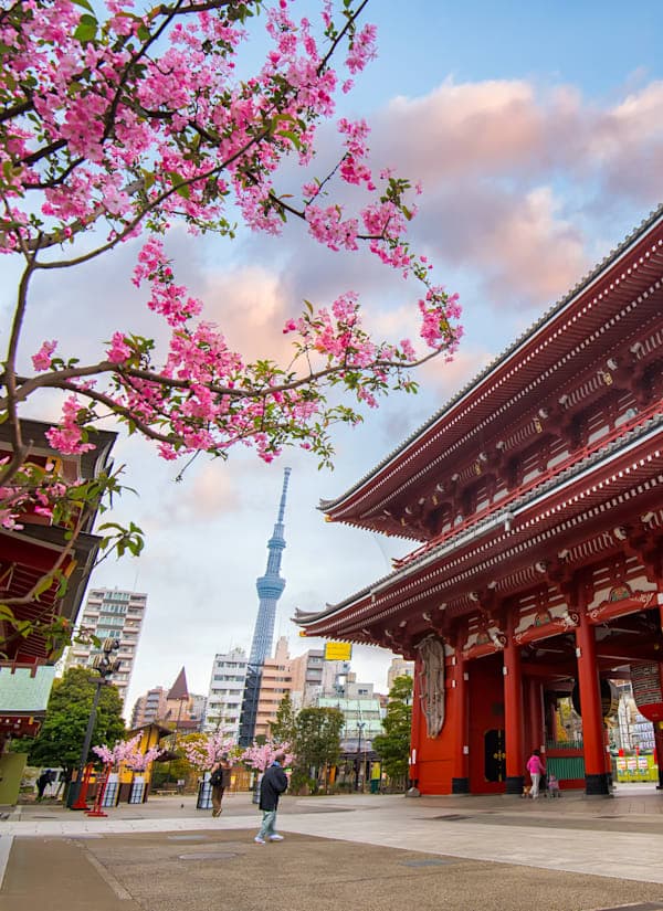 Tokio tot Okinawa: tussen skyline & eilandsfeer