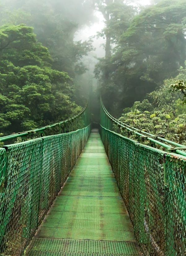 2 for 1 Costa Rica-roadtrip: van vulkaan tot nevelwoud