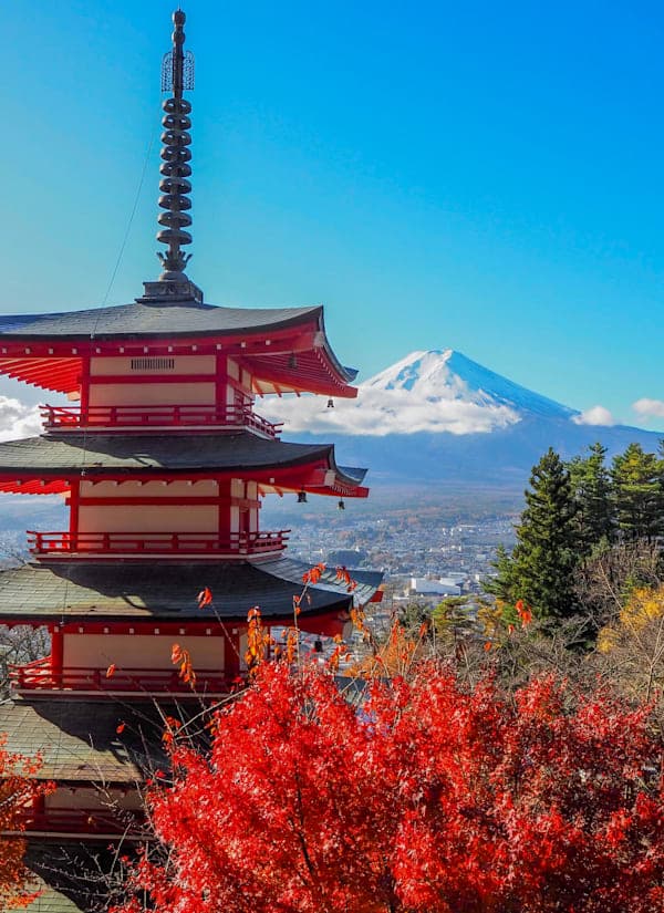 Zuid-Korea & Japan: cityhoppen naar Mount Fuji