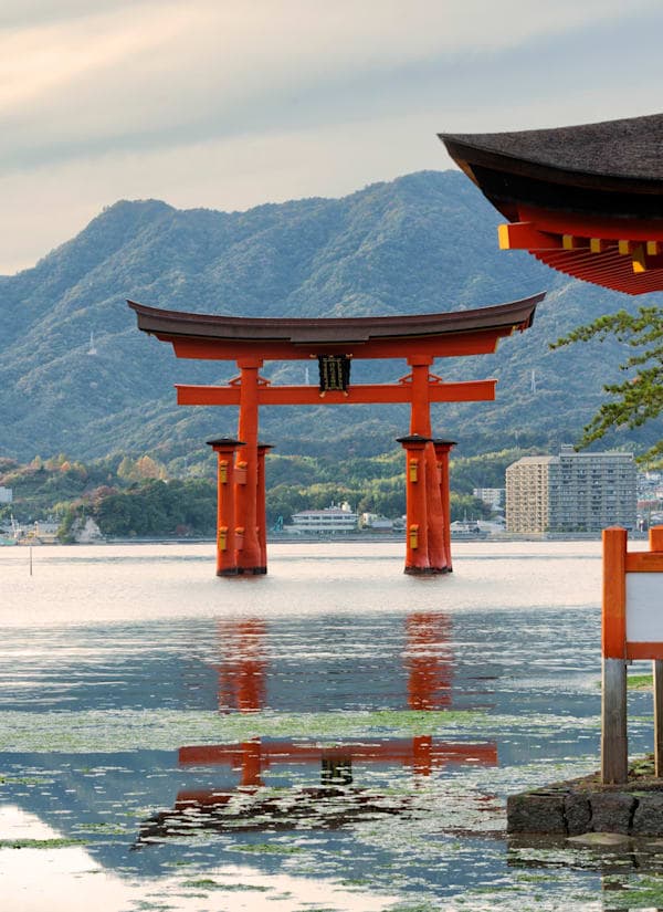 Ontdek Japan: Tokiotoren, rode torii & samoerai