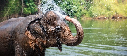 Abenteuer Thailand: Von Bergvölkern zum Inselhopping