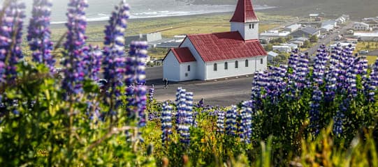 Island intensiv: Roadtrip-Adventure der Südküste