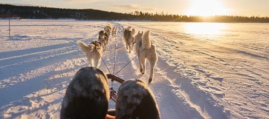 Arctic Roadtrip: Husky Adventure & Polar Lights!