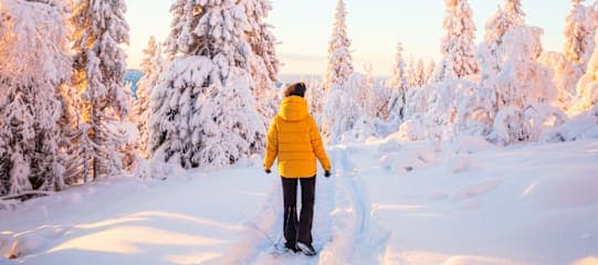Scandic Nights: Aurora Lights & Arctic Rides