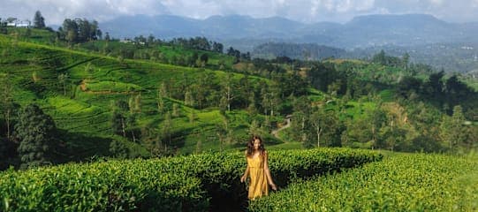 Sri Lanka & Malediven: highland highs meet beach paradise