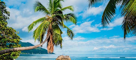 Dubai, Mauritius & Seychellen: City Lights meet Island Vibes