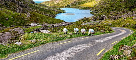 Roadtrip Irland: Glamping am Wild Atlantic Way