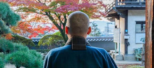 Japan Intense: Von Neonlicht zu Mönchsgesang