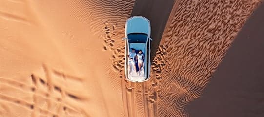 Zuid-Afrika & Namibië: desert roadtrip naar de big five