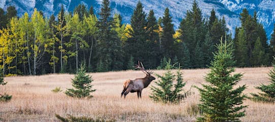 Kanada Bucketlist: City Sights, Roadtrip Vibes & Niagara Falls