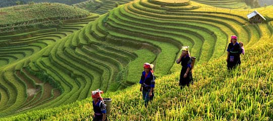 Vietnam Intense: Local Insights & Nature Wonders