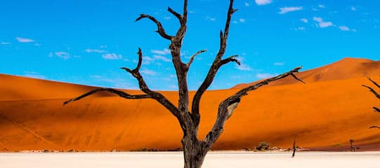 All around Africa: woestijn-dromen & wildlife wonderen