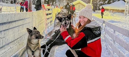 Finnisch Lappland: Snowy Forests & Husky Adventure