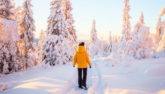 Scandic Nights: Aurora Lights & Arctic Rides