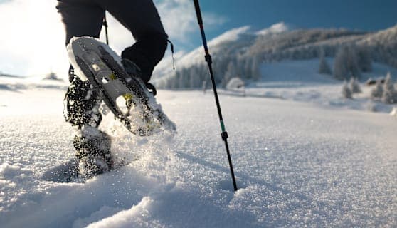 Finnlands Winterzauber: Abenteuer unter dem Polarlicht