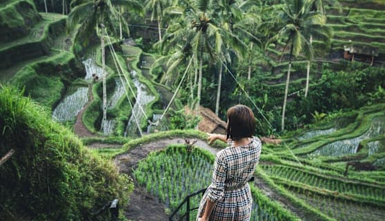 Betoverend Bali: jungledromen & stranddagen