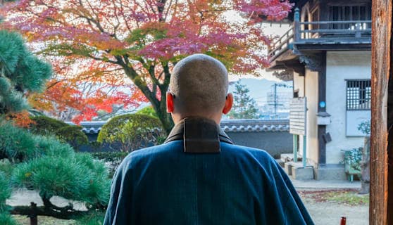Japan Intense: Von Neonlicht zu Mönchsgesang