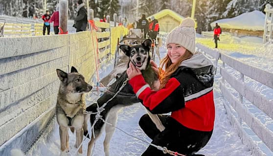 Finnisch Lappland: Snowy Forests & Husky Adventure