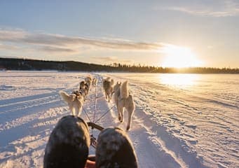 Arctic Roadtrip: Husky Adventure & Polar Lights!