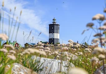 Schweden & Finnland: Küstenhopping im Ostsee-Abenteuer