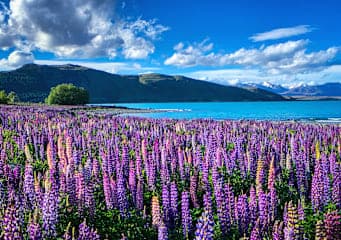 Australien & Neuseeland: Livin’ a Down Under Kind of Dream!