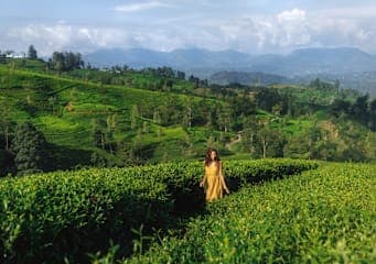 Sri Lanka & Malediven: highland highs meet beach paradise