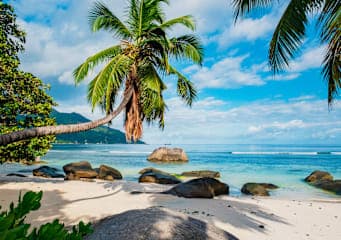 Dubai, Mauritius & Seychellen: City Lights meet Island Vibes