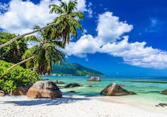 Dubai & Seychellen: City Lights meet Island Paradise