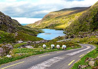 Roadtrip Irland: Glamping am Wild Atlantic Way