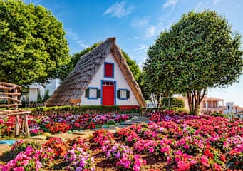 Lissabon & Madeira: City Break trifft Inselroadtrip