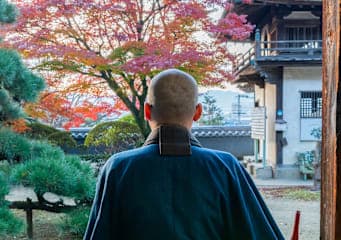 Japan Intense: Von Neonlicht zu Mönchsgesang