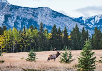 Kanada Bucketlist: City Sights, Roadtrip Vibes & Niagara Falls