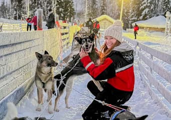 Finnisch Lappland: Snowy Forests & Husky Adventure