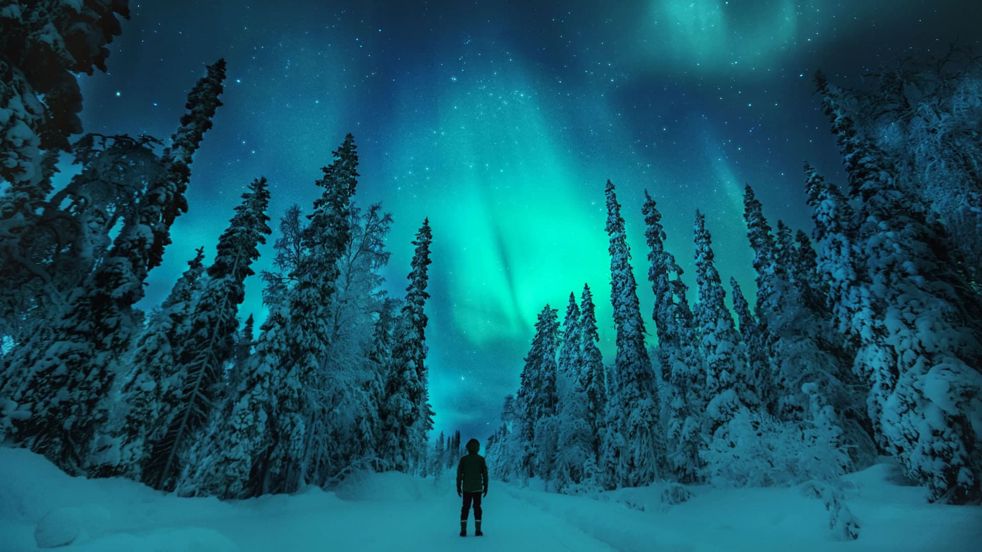 Winterabenteuer