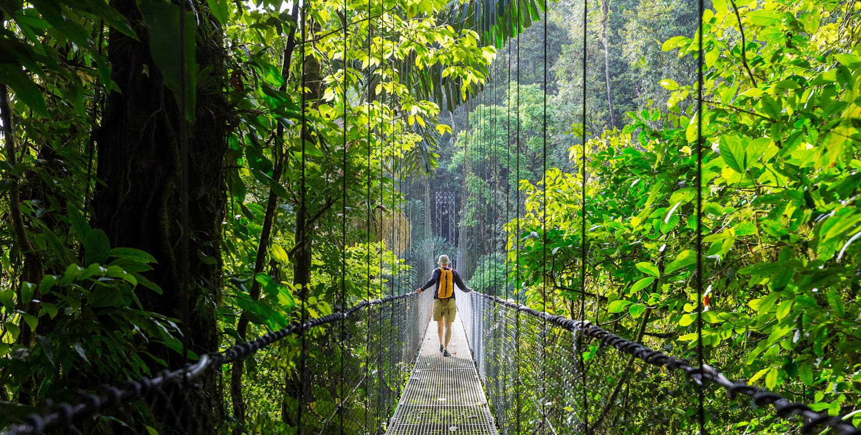 Monteverde, San José and Santa Teresa