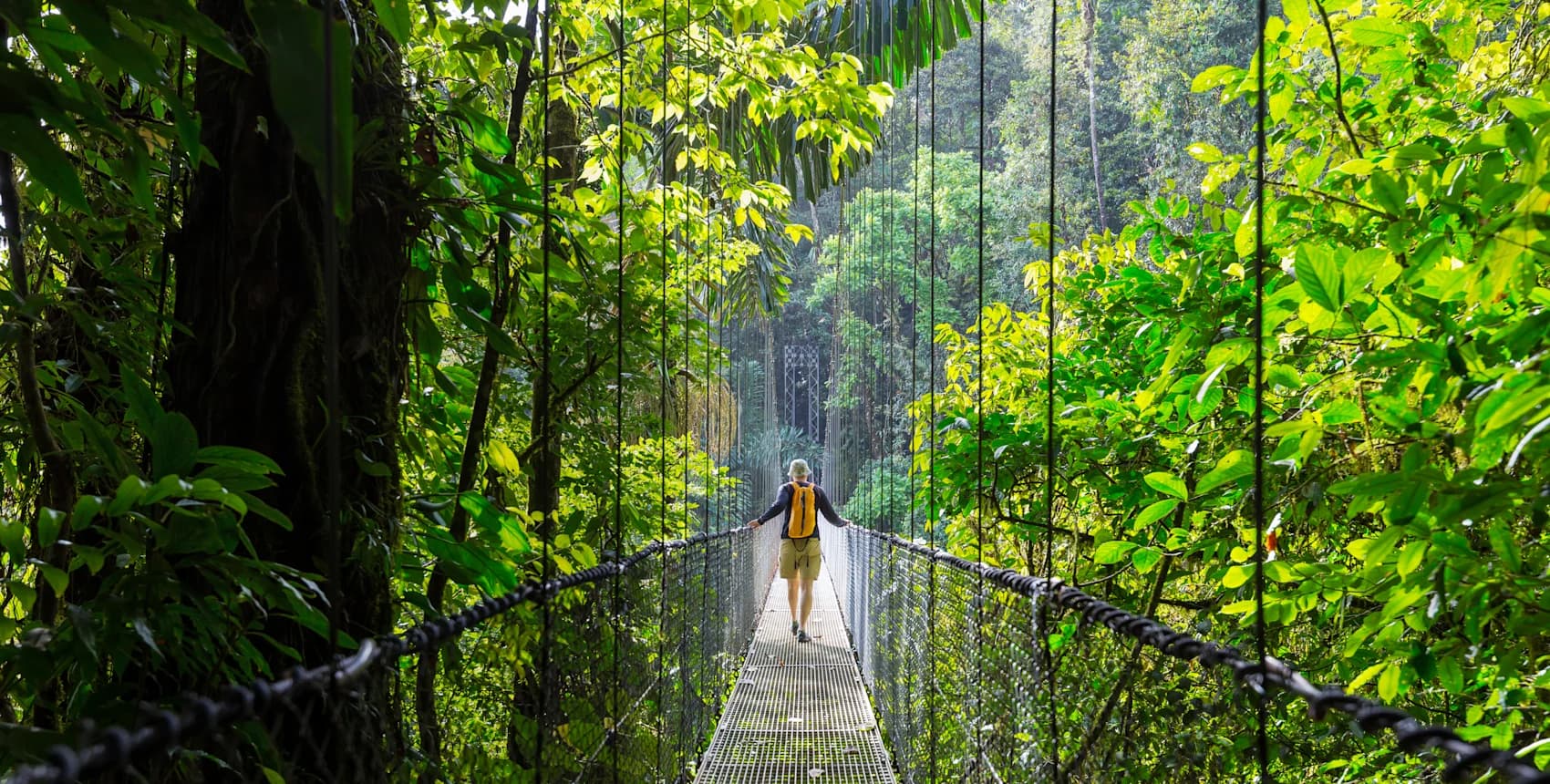 Monteverde, San José & Santa Teresa