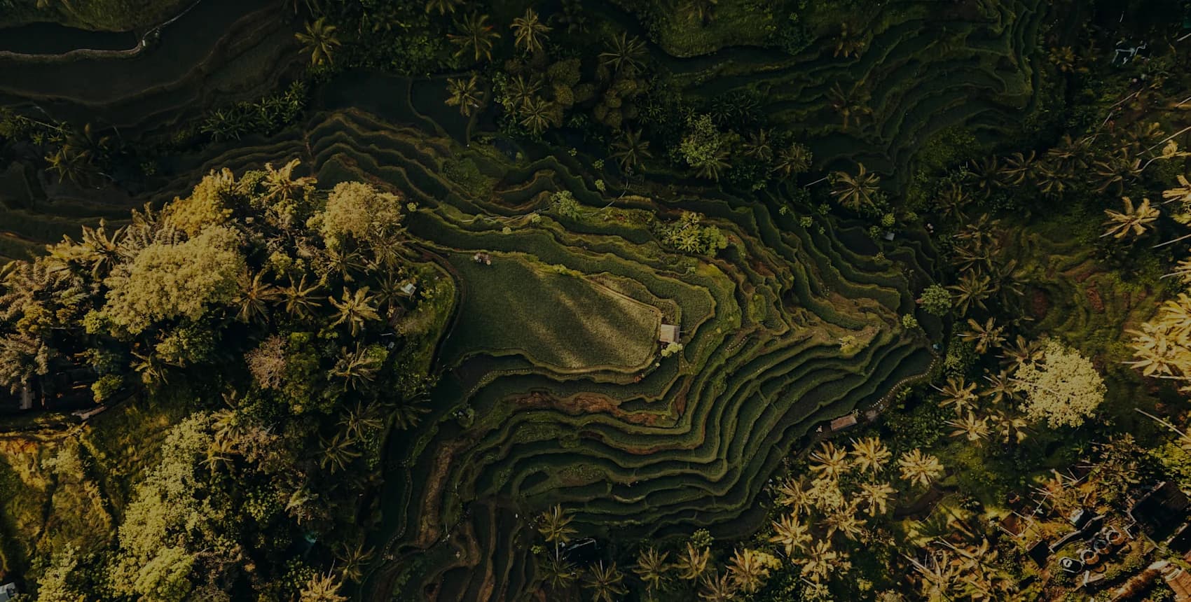 Campaign background