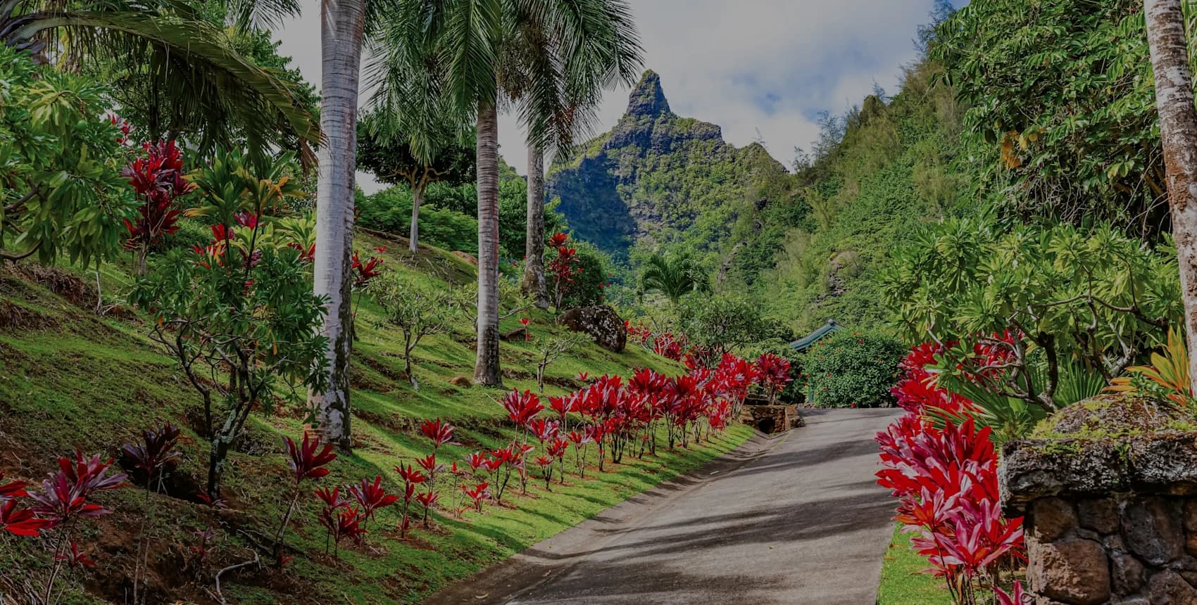 Campaign background