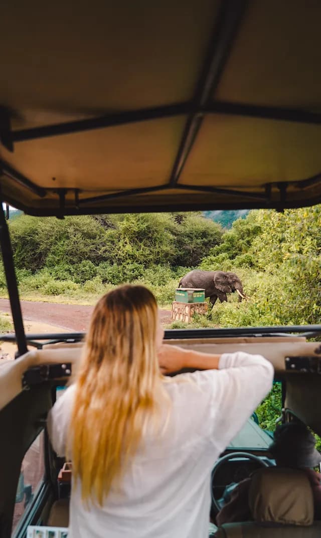 Safari, Zanzibar and Kilimanjaro