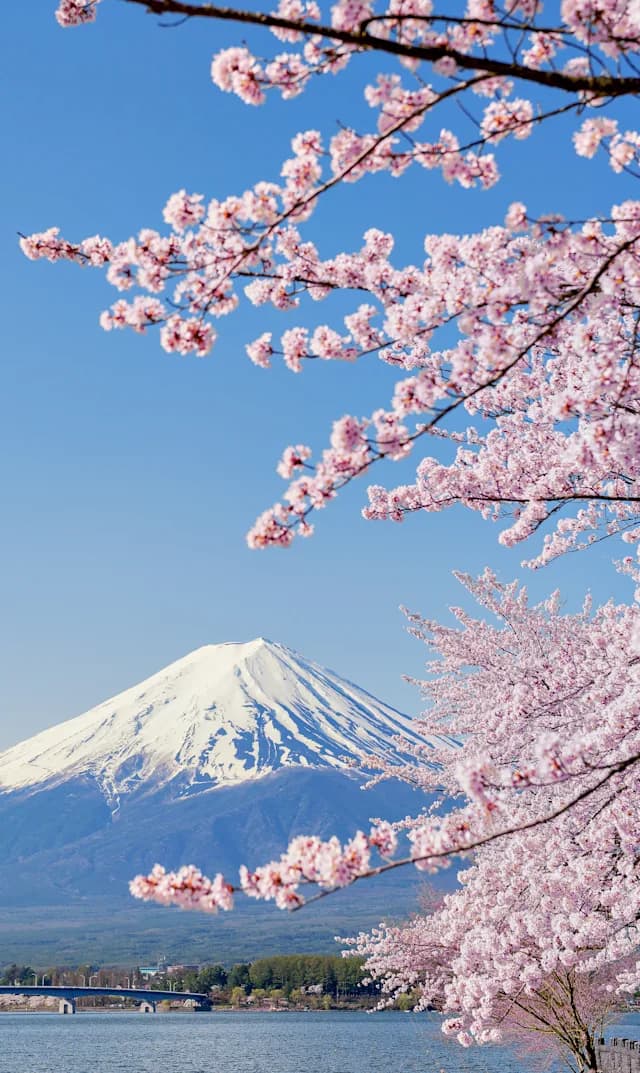 Tokio trifft Kyoto & Mount Fuji