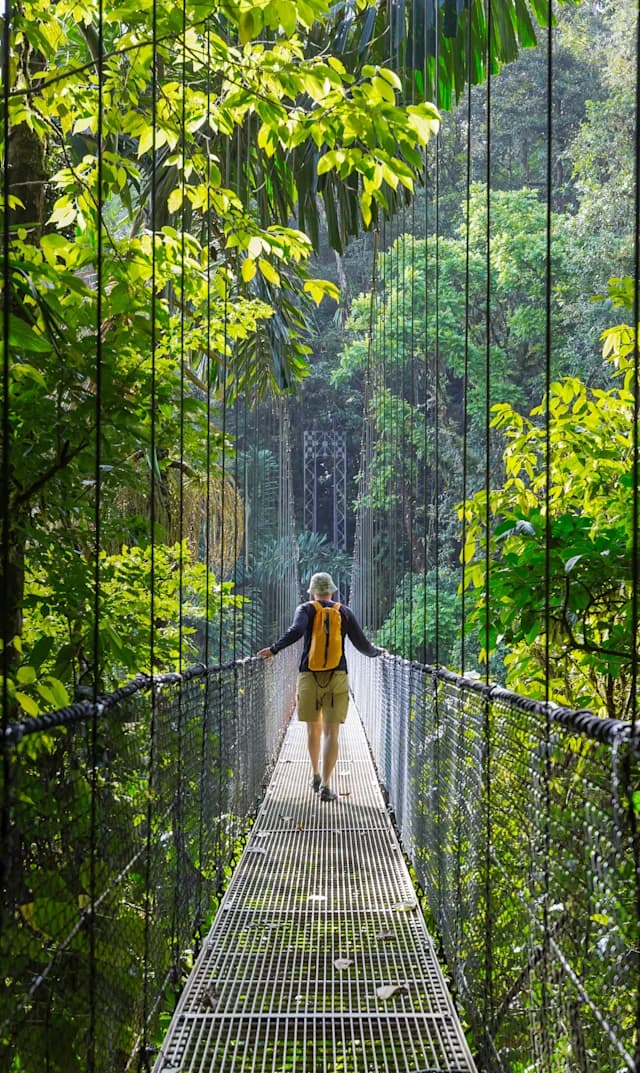 Monteverde, San José & Santa Teresa