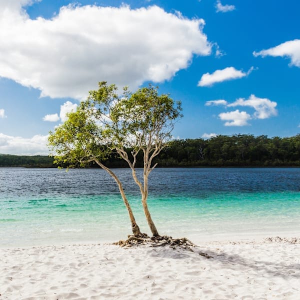 Australisch vanlife: east coast & beachside bliss